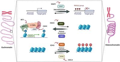 Epigenetic programming of pediatric high-grade glioma: Pushing beyond proof of concept to clinical benefit